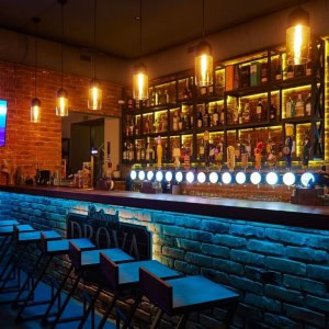 Gastropub DROVA (Гастропаб Дрова) - изображение 4