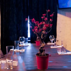 Gastropub DROVA (Гастропаб Дрова) - изображение 5