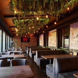 Gastropub DROVA (Гастропаб Дрова) - изображение 4