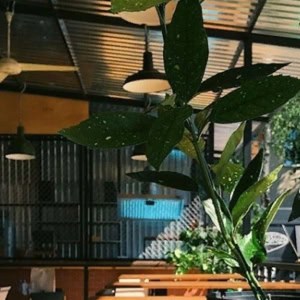 Бургерная «BurgerLab (Бургер Лаб)» - изображение 2