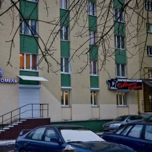Студия красоты «Estel Gomel Studio (Эстель Гомель Студия)» - изображение 2