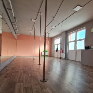 Студия танца на пилоне и растяжки «LouLou Fitness Minsk (ЛуЛу Фитнес Минск)» - изображение 3