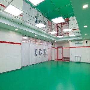 Студия фитнеса и танцев «ICE club (Айс клаб)» - изображение 4