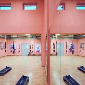 Студия фитнеса «Camellia-Sport (Камеллия-спорт)» - изображение 4