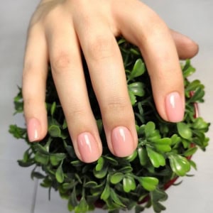 Студия красоты «Estet (Эстет)» - изображение 5