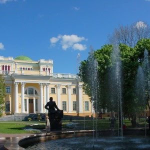«Дворец Румянцевых и Паскевичей» - изображение 5