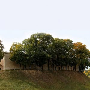 Гродненский историко-археологический музей (Старый Замок) - изображение 2