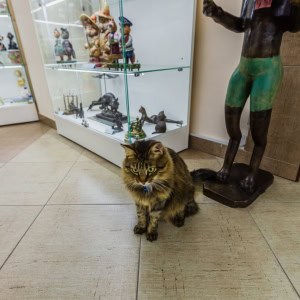 Арт-галерея «Котовасия» - изображение 3