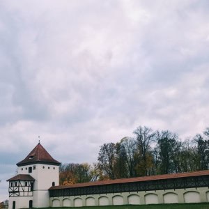 «Любчанский замок» - изображение 9