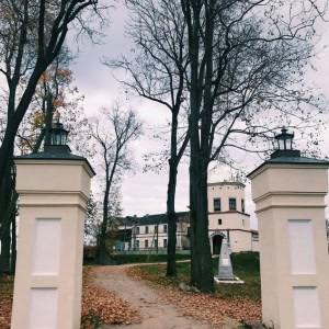 «Любчанский замок» - изображение 8