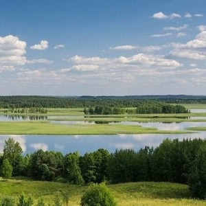Национальный парк «Припятский» - изображение 4