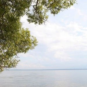 Национальный парк «Нарочанский» - изображение 1