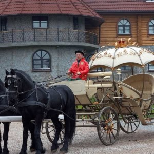 Ресторан «Замок Зеваны» - изображение 3