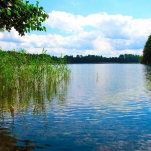База отдыха «Рудаково» - изображение 2