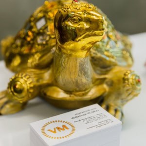 Медицинский центр «Vivaldi Medica (Вивальди Медика)» - изображение 2