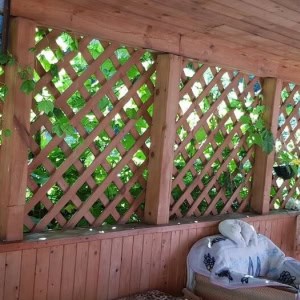 Банька релакс в Гродно - изображение 7