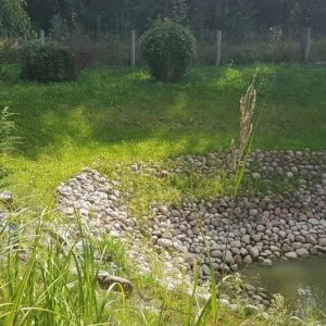 Банька релакс в Гродно - изображение 5