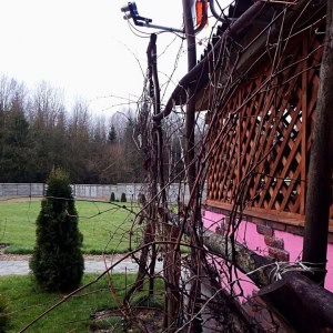 Банька релакс в Гродно - изображение 6