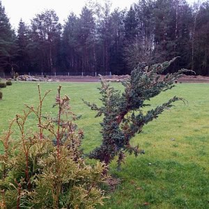Банька релакс в Гродно - изображение 9