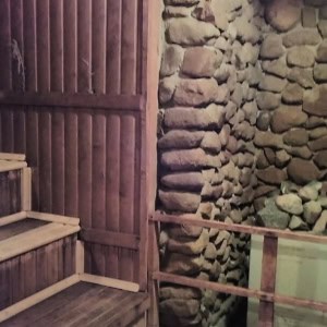 Легкоатлетический манеж в Бресте - изображение 4
