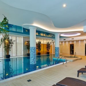 Drozdy Club (Дрозды клуб) в Минске - изображение 3