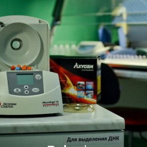 «ЦитоГен» - изображение 2