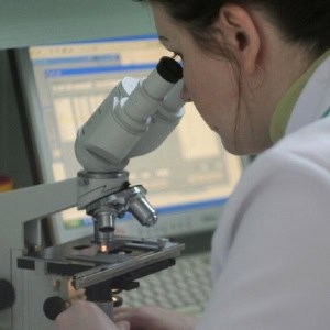 Медицинская лаборатория «СИНЛАБ» - изображение 1