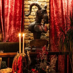 Кафе «Jungle Lounge Cafe (Джангл Лаунж Кафе)» - изображение 4