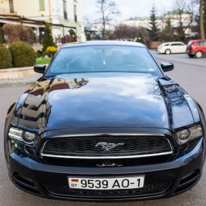 Прокат автомобилей «SKV-Rent (СКВ-Рент)» - изображение 6