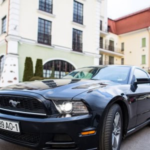 Прокат автомобилей «SKV-Rent (СКВ-Рент)» - изображение 5