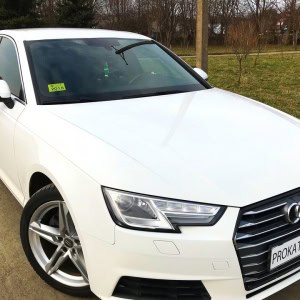 «Прокат авто 24» - изображение 2
