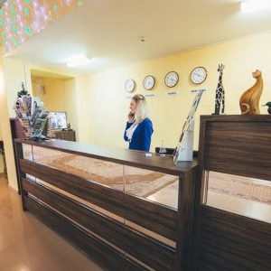 Гостиница «Sun Hotel (Сан Хотель)» - изображение 4