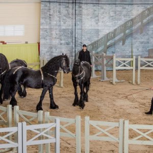 Этнокультурный комплекс «Наносы Отдых» - изображение 3