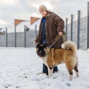 «Гостиница для животных с ветеринарными услугами» - изображение 5