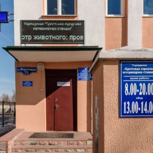 «Брестская городская ветеринарная станция» - изображение 2
