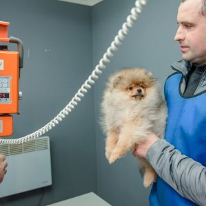 «Брестская городская ветеринарная станция» - изображение 9