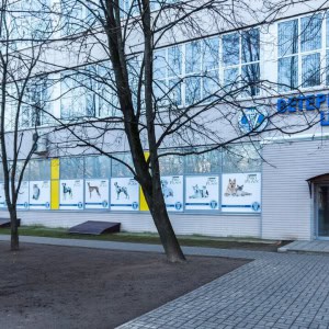 «Ветцентр доктора Базылевского А.А.» - изображение 2
