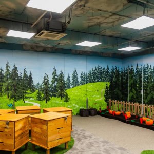 Развлекательный детский центр «МашаLand» - изображение 2