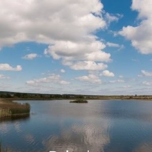 Агроусадьба «Мартинова гусь» - изображение 4