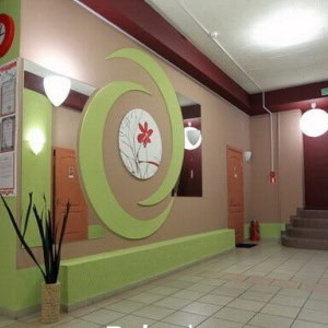 Спа-салон Сакура в Могилеве - изображение 5