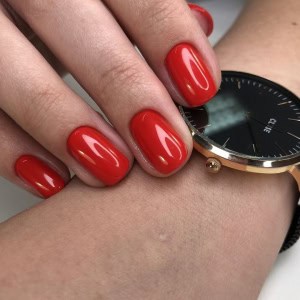 Студия маникюра и педикюра Nail Place (Нэйл Плэйс) в Минске - изображение 1