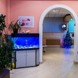 Салон красоты Red Rose (Ред Роуз) в Минске - изображение 3