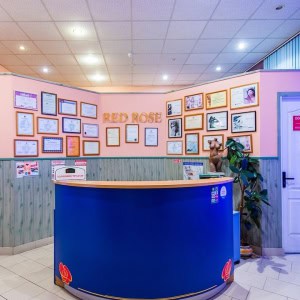 Салон красоты Red Rose (Ред Роуз) в Минске - изображение 5