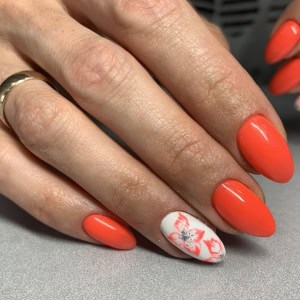 Салон красоты Люксор в Минске - изображение 9