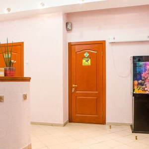 Медицинский центр Антес Мед в Минске - изображение 5