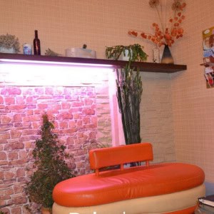 Студия красоты Золотая стрекоза в Витебске - изображение 5