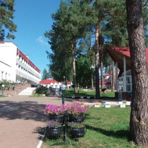 Детский реабилитационно-оздоровительный центр «Птичь» - изображение 1