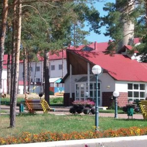 Детский реабилитационно-оздоровительный центр «Птичь» - изображение 3