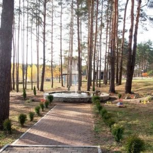 Детский реабилитационно-оздоровительный центр «Птичь» - изображение 4