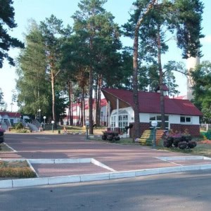 Детский реабилитационно-оздоровительный центр «Птичь» - изображение 5